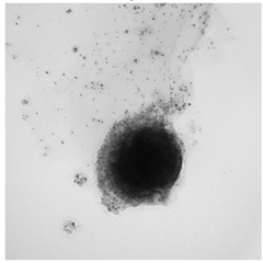 DNA Helix and Data Overlay